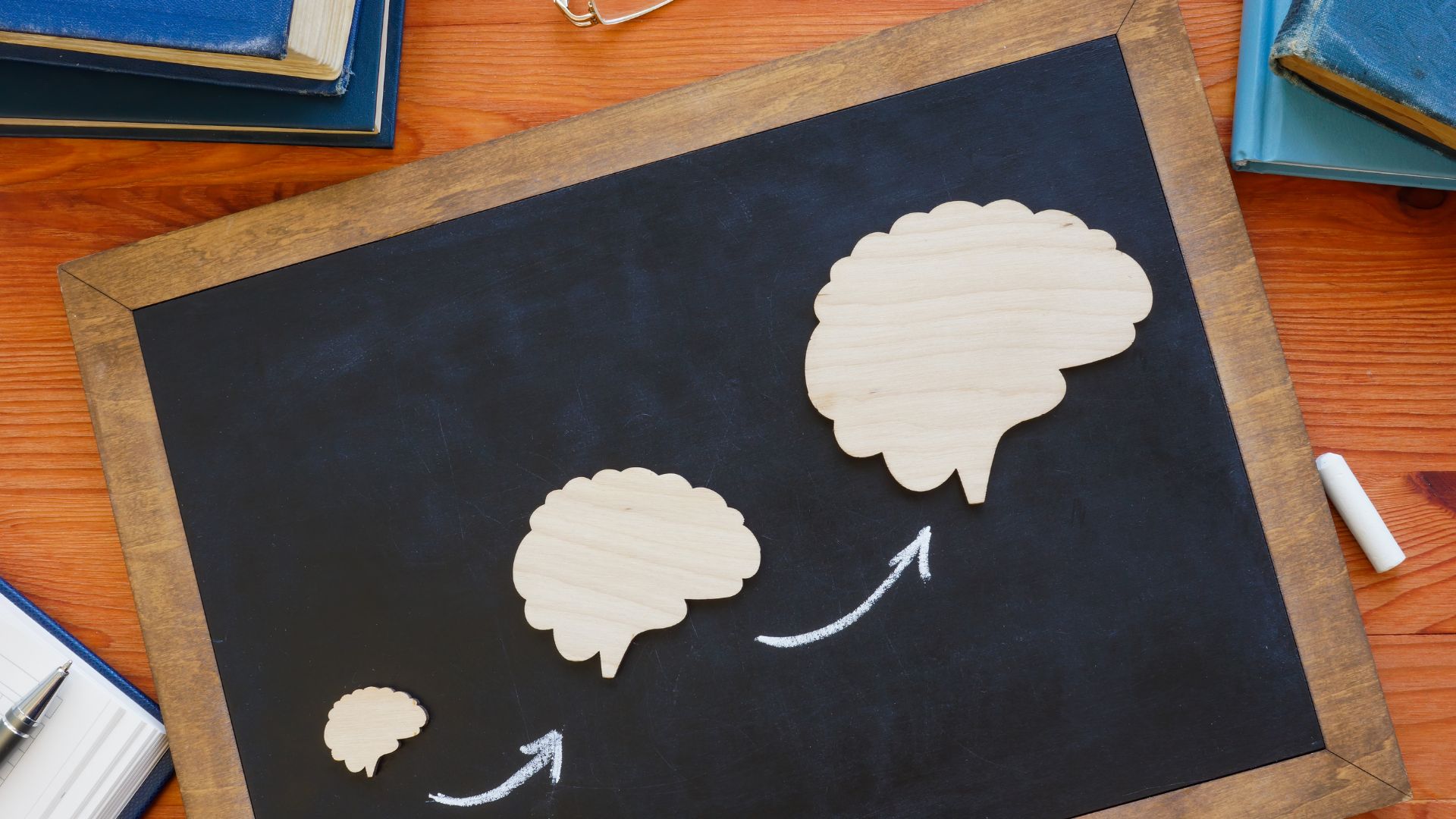 Continuous Learning And Professional Growth For EHCP Coordinators