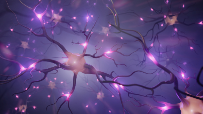 Embracing Neurodiversity: Guidance for Jobseekers