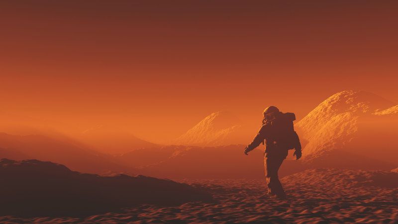 Tapping Into the Rust Developer Community For Recruitment Success 